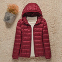  Capuche Bourgogne