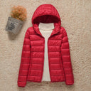  Capuche Rouge