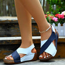  Blue/White